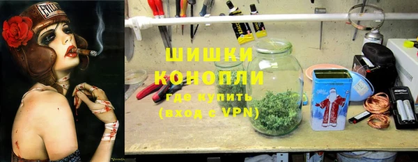 хмурый Бородино