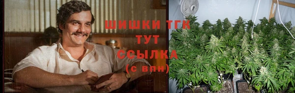 стаф Бронницы