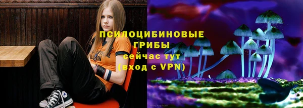 бошки Бугульма