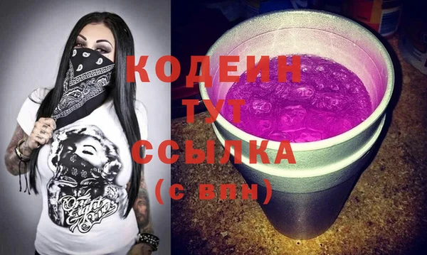 хмурый Бородино