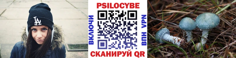 Псилоцибиновые грибы Cubensis  Медногорск 